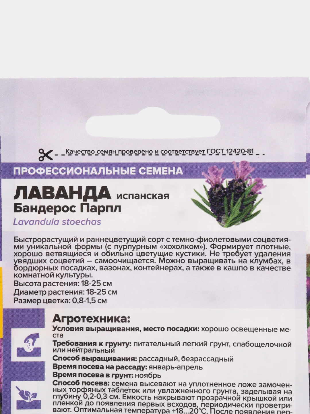 Лаванда Бандерос Парпл испанская (семена,цветы)