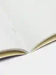 Золотой тетрадь предметная