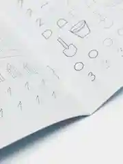 Прописи. Все по клеточкам