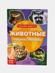 Обучающая книга "Животные Северной Америки", 20 страниц