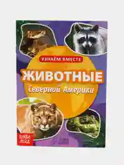 Обучающая книга "Животные Северной Америки", 20 страниц