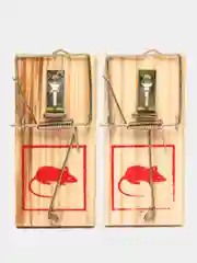 Мышеловка деревянная 5*10см, RAT&MOUSE