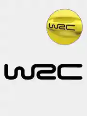 Черный автомобильные наклейки WRC