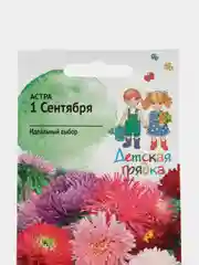 Семена астры