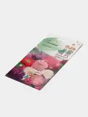Семена астры