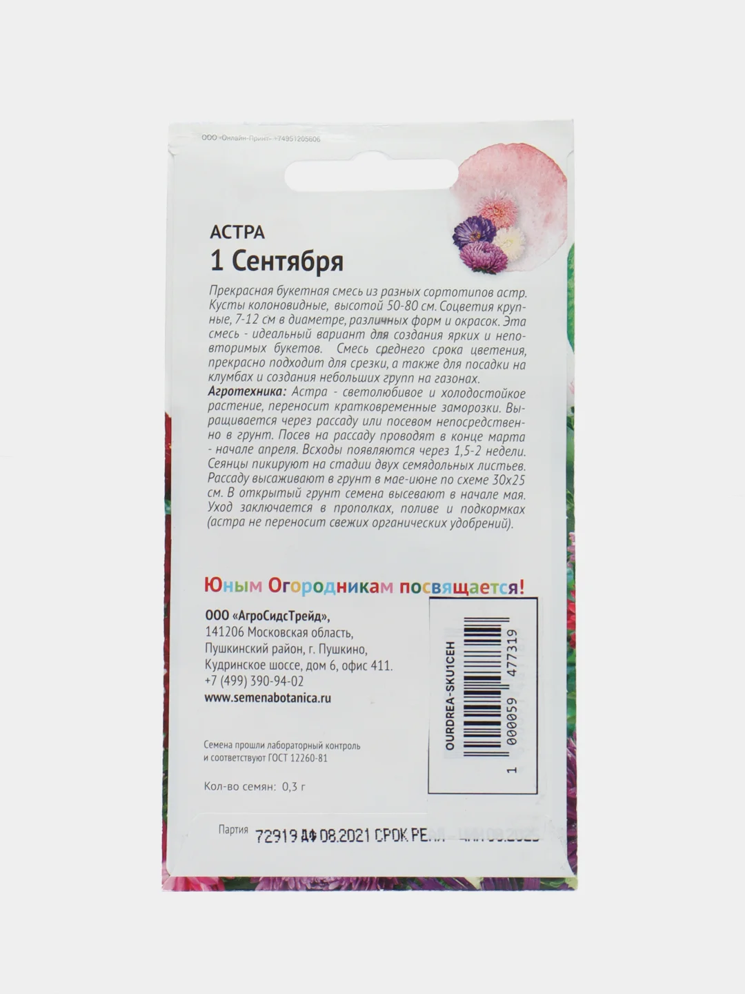 Семена астры