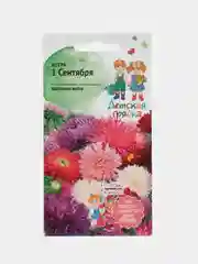 Семена астры