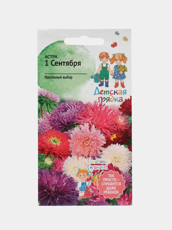 Семена астры