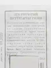 Семена лук репчатый
