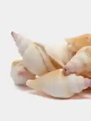 Светло-жёлтый ракушки натуральные морские и океанические, грунт, наполнитель, декор для аквариума