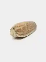 Песочный хаки ракушки натуральные морские и океанические, грунт, наполнитель, декор для аквариума