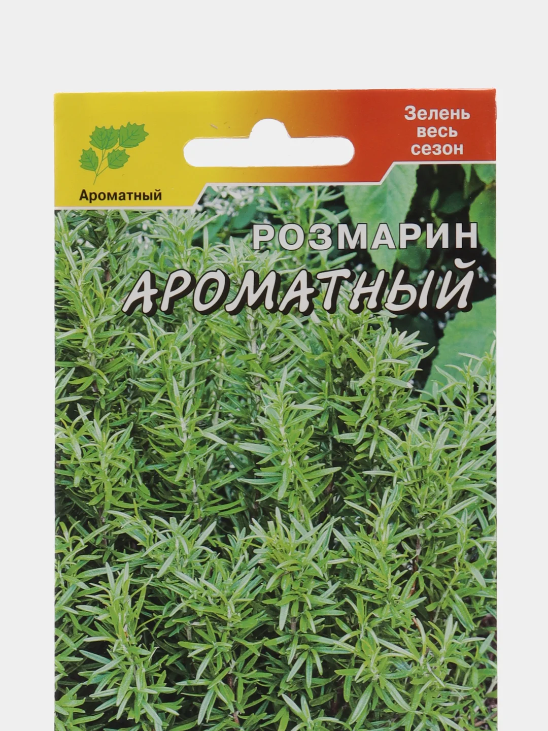 Розмарин "Ароматный", семена, цветы