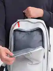Серый рюкзак тканевый, унисекс