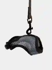 Шлейка для грызунов DUVO+ "Walking Vest", синяя, М