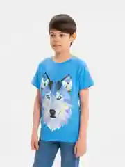 Небесно-голубой футболка для мальчика, с принтом, хлопок, 8-12 лет