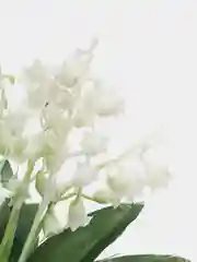 Белый ландыш, искусственные цветы