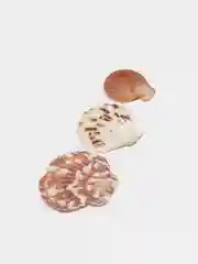 Кораллово-розовый ракушки натуральные морские и океанические, грунт, наполнитель, декор для аквариума
