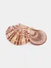Кораллово-розовый ракушки натуральные морские и океанические, грунт, наполнитель, декор для аквариума