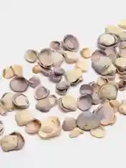 Небесно-голубой ракушки натуральные морские и океанические, грунт, наполнитель, декор для аквариума