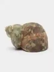 Зеленый ракушки натуральные морские и океанические, грунт, наполнитель, декор для аквариума