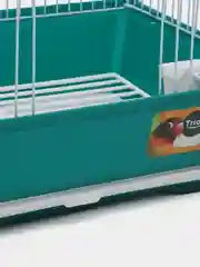 Голубой клетка для птиц Triol 2105, 30 х 23 х 39 см