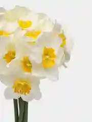 Белый искусственные цветы, нарциссы