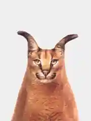 Медный мягкая подушка Кошка/Кот, реалистичная