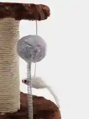 Коричневый когтеточка для кошек и котят с игрушками