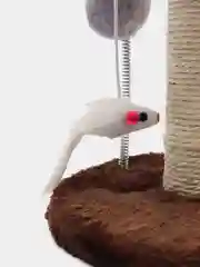 Коричневый когтеточка для кошек и котят с игрушками