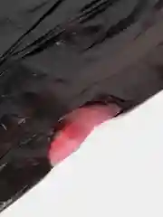 Черный мешки для мусора на шнурке