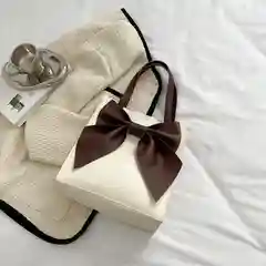 Женская сумка с большим бантом