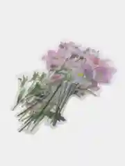 Розовый наклейки цветы тюльпаны декоративные, водонепроницаемые прозрачные, 40 штук