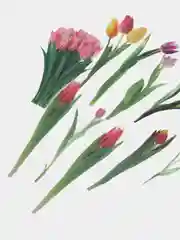 Разноцветный наклейки цветы тюльпаны декоративные, водонепроницаемые прозрачные, 40 штук