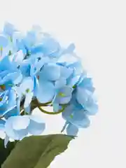 Голубой искусственные цветы, гортензия