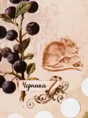 Индиго органайзер для ниток мулине Buratini Ягоды на 18 цветов