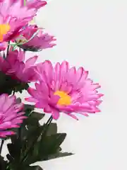 Сиреневый искусственные цветы. Герберы (букет). Композиция