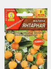 Малина "Янтарная", семена