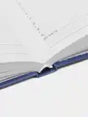 Ежедневник-планер (планинг), записная книжка, блокнот недатированный А6 160 листов, 113517