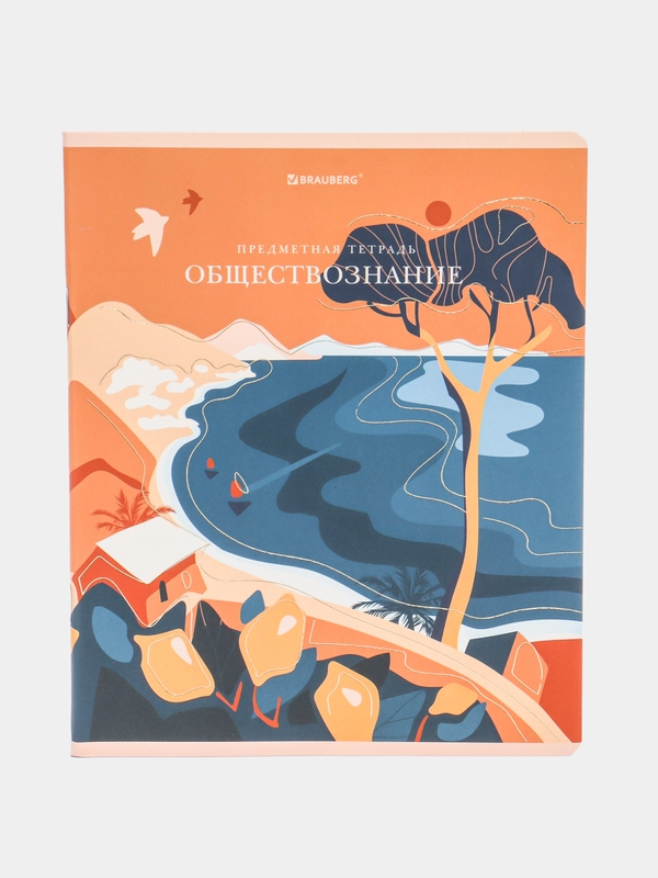 Тетрадь общая, для школы, предметная 48 листов "Обществознание", клетка, Brauberg, 404545