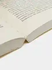 Худеющий, Стивен Кинг