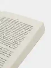 Худеющий, Стивен Кинг