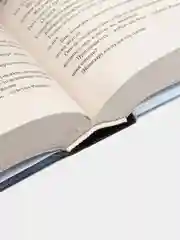 Волки Кальи, Кинг С.