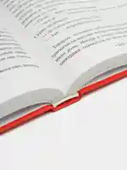 Манюня пишет фантастичЫскЫй роман, Наринэ Абгарян
