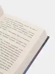 Ты убит, Стас Шутов, Эли Фрей