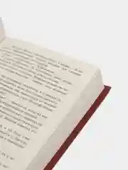 Стигмалион, Старк К.