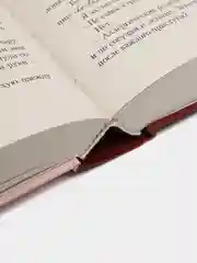 Стигмалион, Старк К.