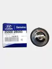Термостат Hyundai/KIA 25500-2B000