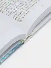 Необыкновенные приключения Карика и Вали, Ларри Я.Л.