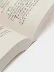 Мизери, Кинг С.