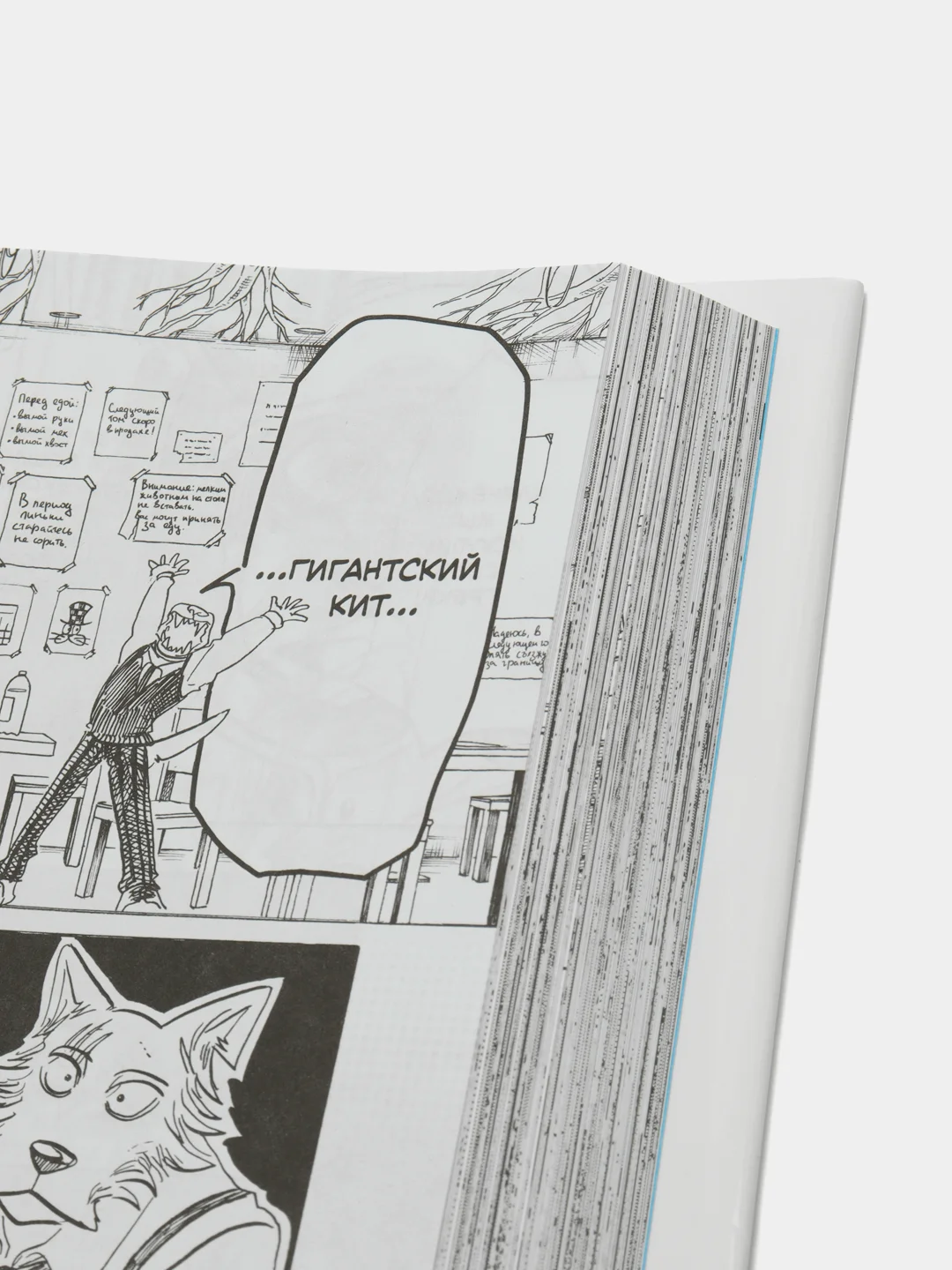Beastars. Выдающиеся звери. Том 9